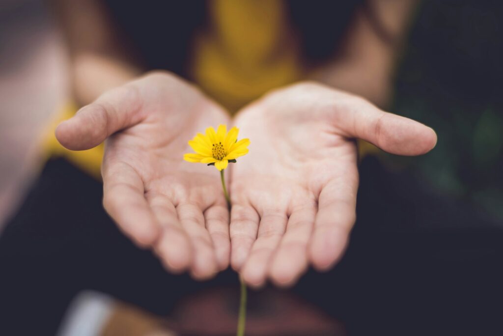A flower and open hands